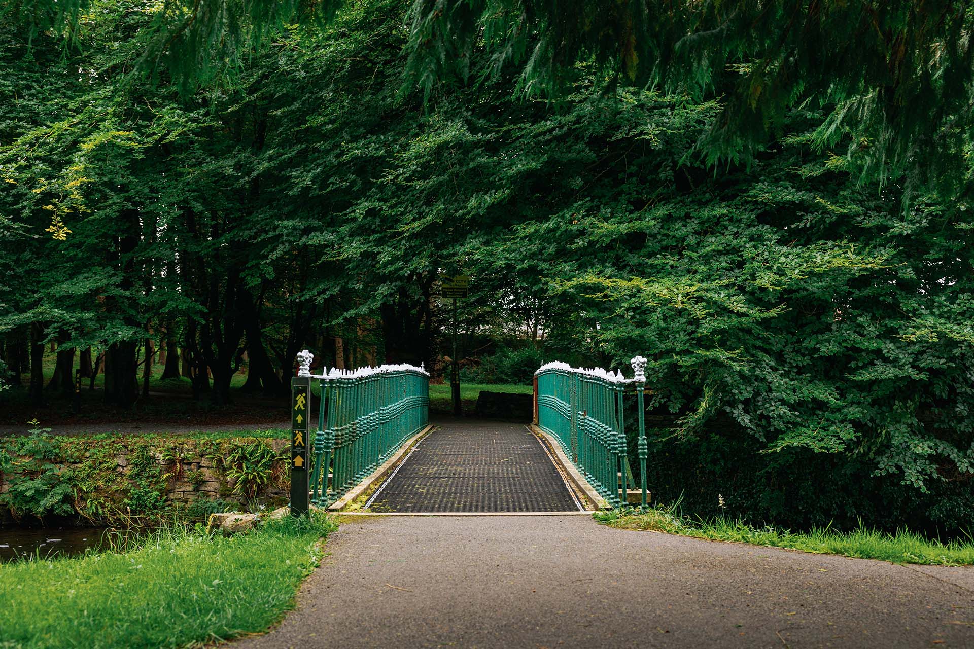 Castlerea Trails - Bridge