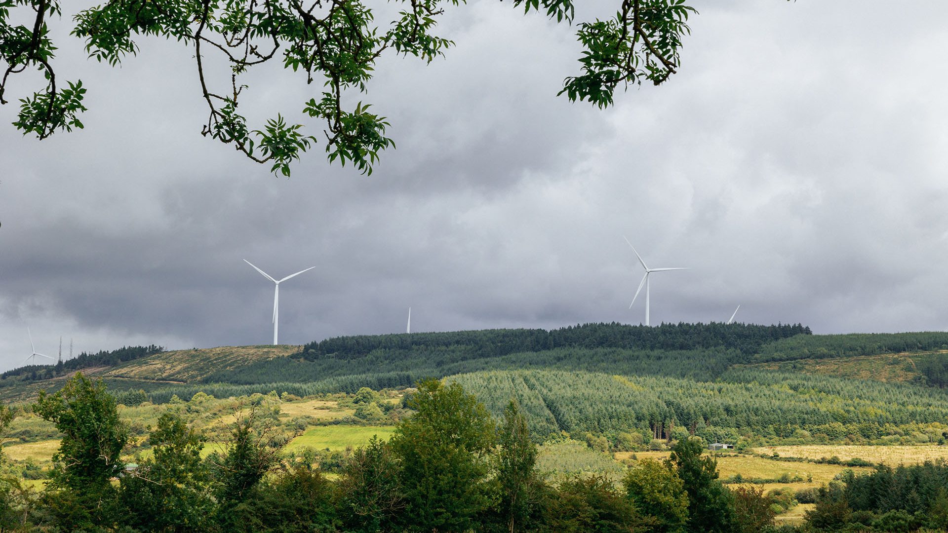 Wind Turbines at Sliabh Bawn Loop Walks